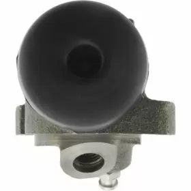 134.62019 CENTRIC PARTS Wheel Cylinder #3