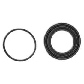 WK1458 RAYBESTOS Brake Caliper Seal Kit