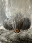 Drum Brake Wheel Cylinder-element3 Raybestos Wc14499 Fits 1951 Chevrolet Truck. Fixed Price $75.00.
