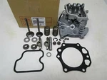 Genuine Kawasaki 11008-2121 Cylinder Head W/ Valve Kit Fe350d Club Car Fe350. Fixed Price $459.99.