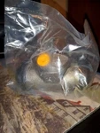 Acdelco 18e889 Drum Brake Wheel Cylinder. Fixed Price $16.00.