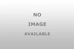 Dorman W370038 Drum Brake Wheel Cylinder. Fixed Price $22.09.
